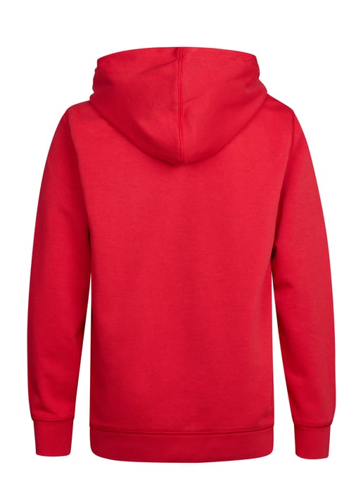 Petrol Industries - Jongens Artwork hoodie Wenatchee - Rood - Image 2