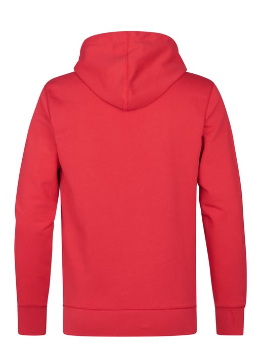 Petrol Industries - Heren Artwork Hoodie Superior - Rood - Image 2