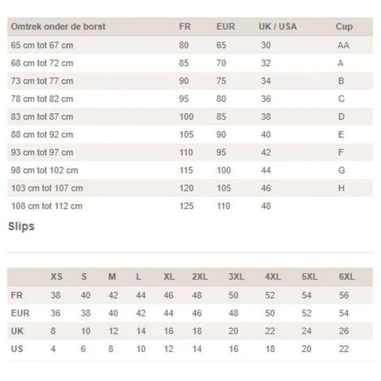 Orely Support Soft Cup Bra - Image 2