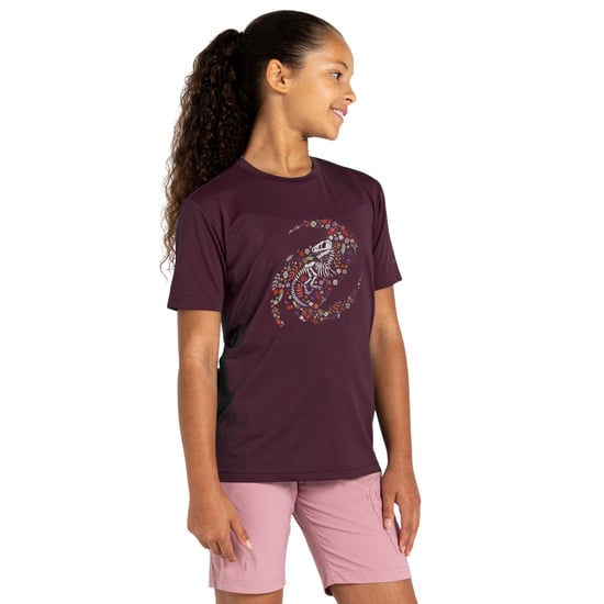Dare 2B Kinderen/Kinderen Amuse II Dinosaurus Skelet T-Shirt (Diepe pruim) - Image 4