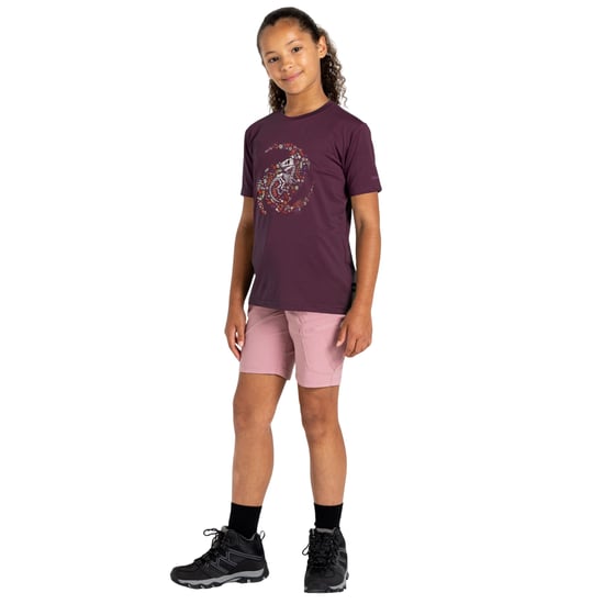 Dare 2B Kinderen/Kinderen Amuse II Dinosaurus Skelet T-Shirt (Diepe pruim) - Image 6