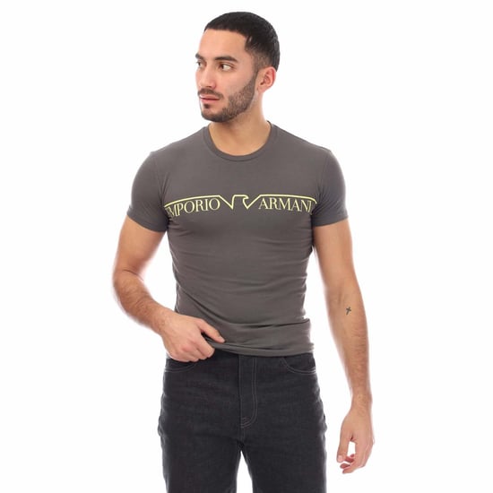 Emporio Armani T-shirt med rund hals för män (Grått) - Image 1