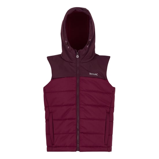 Regatta Lofthouse Body Warmer för barn/ungdomar (Fikon/Mörk Pimento) - Image 1