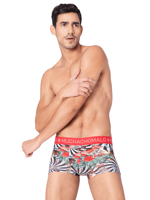 Muchachomalo Boys Boxershorts - 3 Pack - Image 6