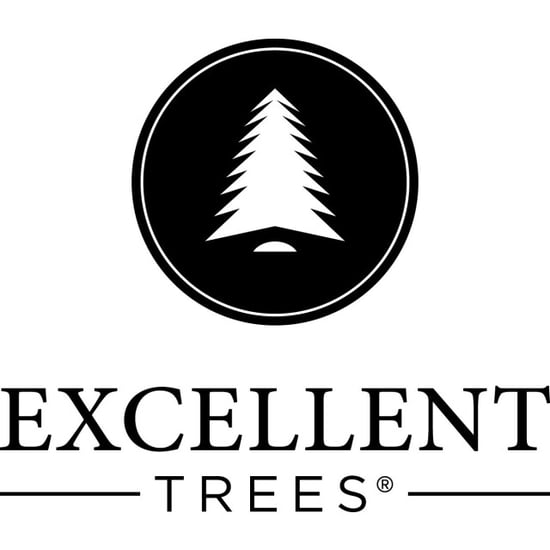 Excellent Trees Kerstboom ® led stavanger green 210 cm met verlichting nu met - Image 4