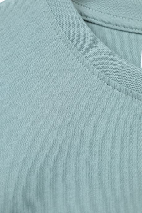 Regional Men's Brighton T-Shirt Cotton Sun Protection Breathable Casual Tee Pale Green - Image 5