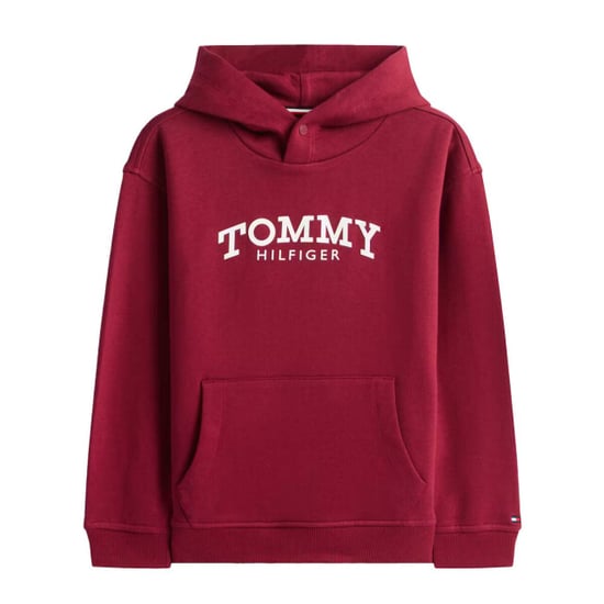 Tommy Hilfiger Hoodie kb0kb10028 - Image 1