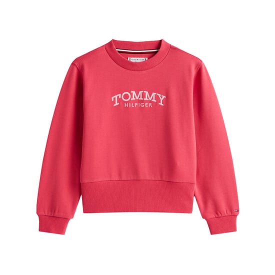 Tommy Hilfiger Sweat kg0kg08989 - Image 1