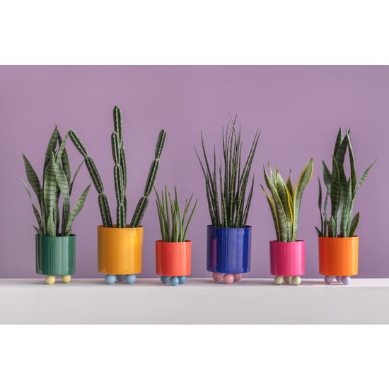 Present Time bloempot double funky small bright pink & soft green - Image 4