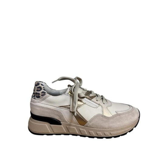 Gabor 66.368 - Image 1