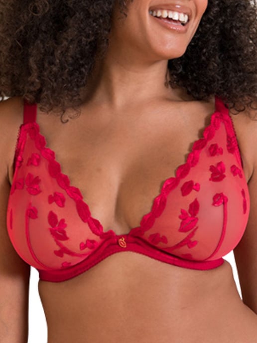 Pucker Up Deep Plunge Bra - Image 1