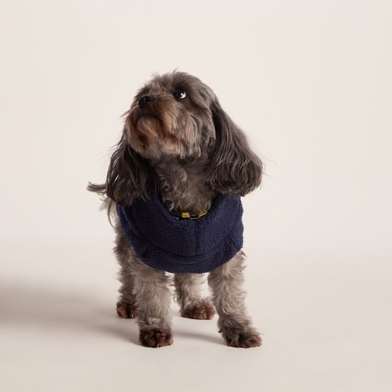 Rover Sherpa Dog Coat XS - Oxford Blue - Image 3