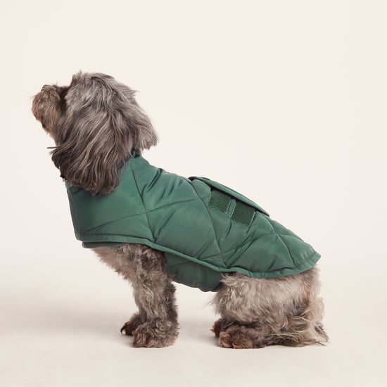 Fido Padded Dog Coat XS - Racing Green - Image 2