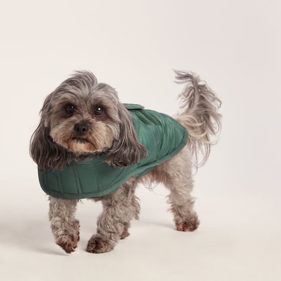 Fido Padded Dog Coat XS - Racing Green - Image 3
