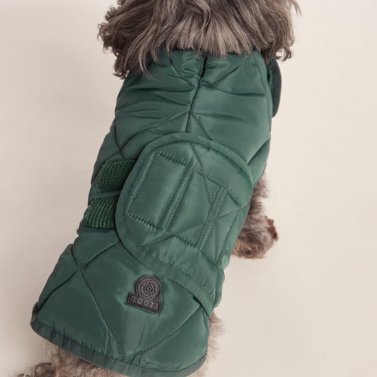 Fido Padded Dog Coat XS - Racing Green - Image 6