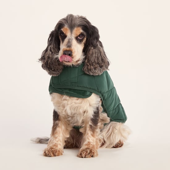 Fido Padded Dog Coat M - Racing Green - Image 3