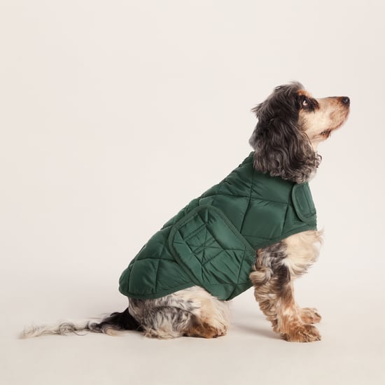 Fido Padded Dog Coat M - Racing Green - Image 4
