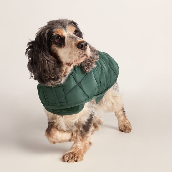 Fido Padded Dog Coat M - Racing Green - Image 6