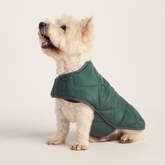 Fido Padded Dog Coat S - Racing Green - Image 3