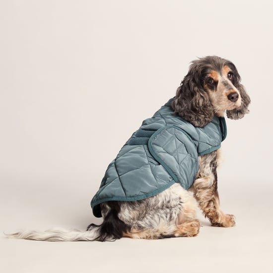 Fido Padded Dog Coat M - Graphite - Image 1