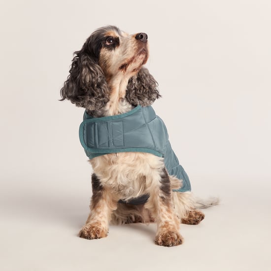 Fido Padded Dog Coat M - Graphite - Image 3