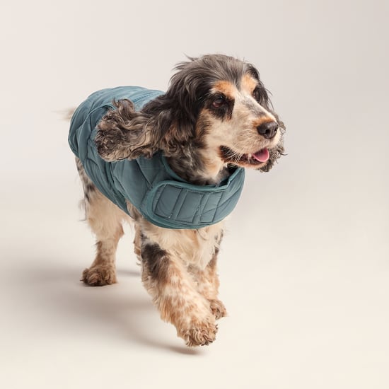 Fido Padded Dog Coat M - Graphite - Image 6
