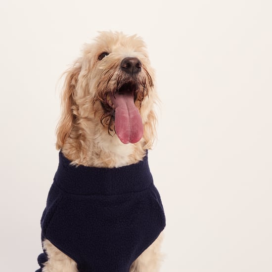 Rover Sherpa Dog Coat XL - Oxford Blue - Image 4