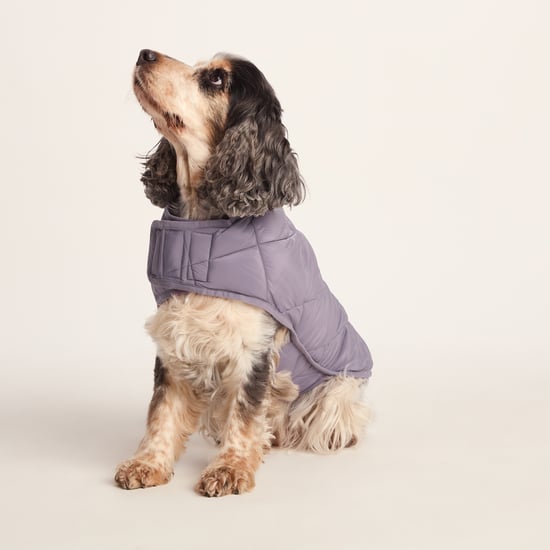 Fido Padded Dog Coat M - Dusky Lilac - Image 3