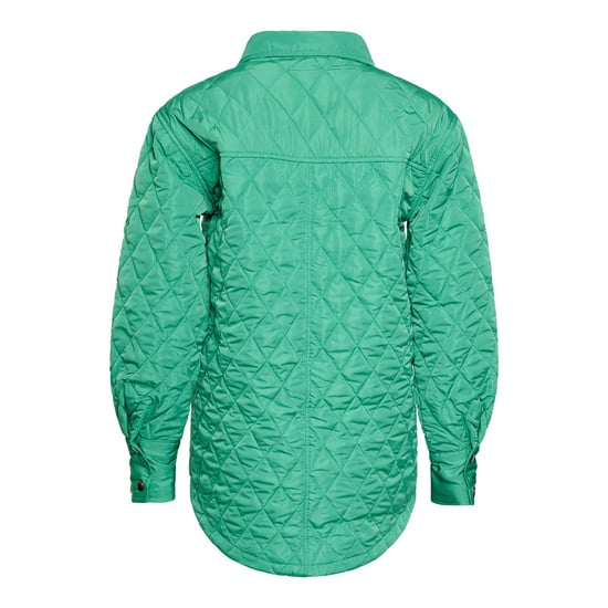 Vaks Jas in Groen - Image 2