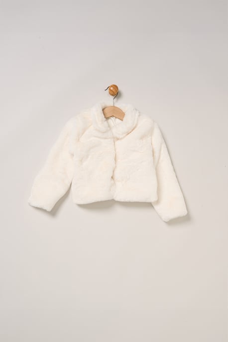 Fur Jacket and Dress Outfit Set - Image 3