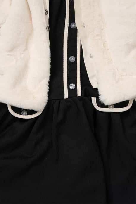 Fur Jacket and Dress Outfit Set - Image 5