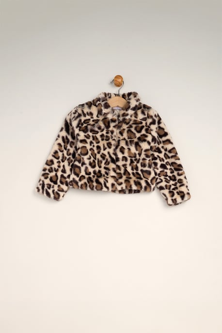 Fur Jacket and Dress Outfit Set - Image 4