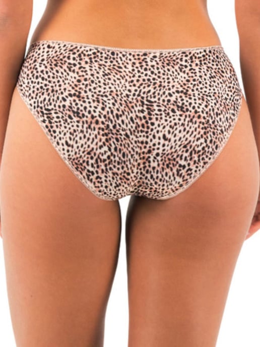 Lindsey Brief - Image 2
