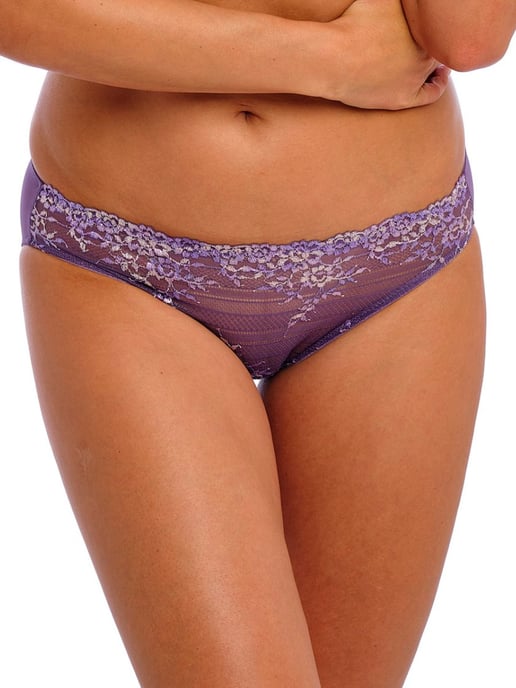 Embrace Lace Bikini Brief - Image 1