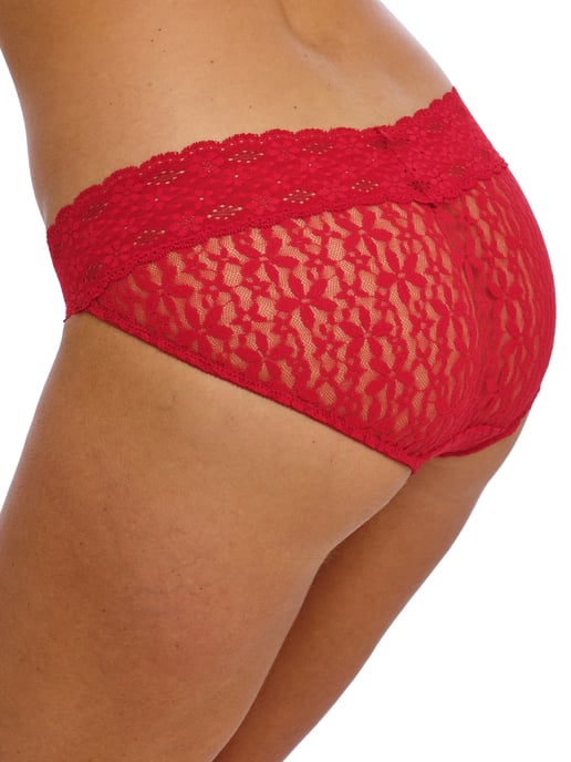 Halo Lace Bikini Brief - Image 3
