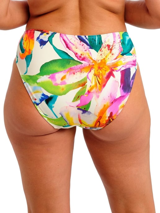 Iguazu Falls Bikini Brief - Image 2