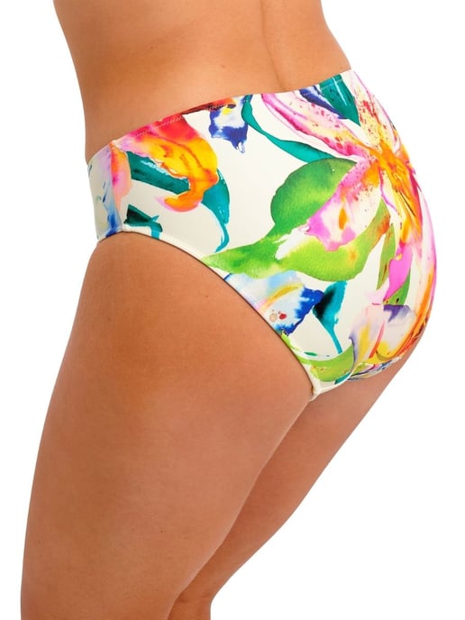 Iguazu Falls Bikini Brief - Image 3