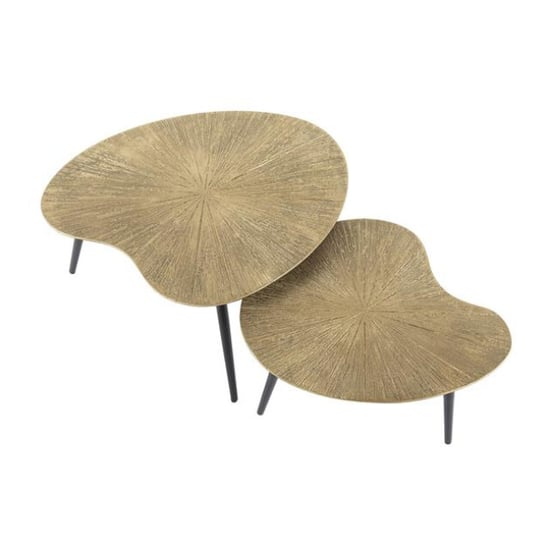 Hoyz salontafel set-2 niervormig ray brons/goud metaal - Image 4