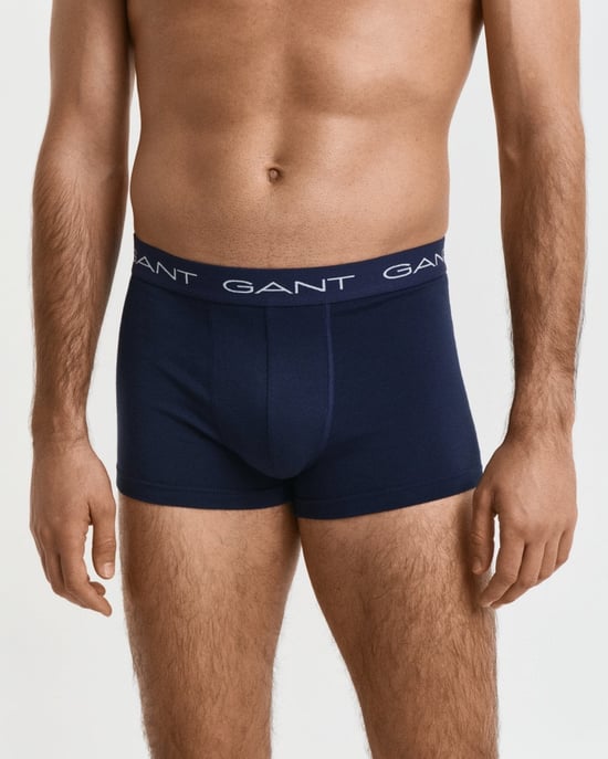 Trunk in Dark Blue - Image 4