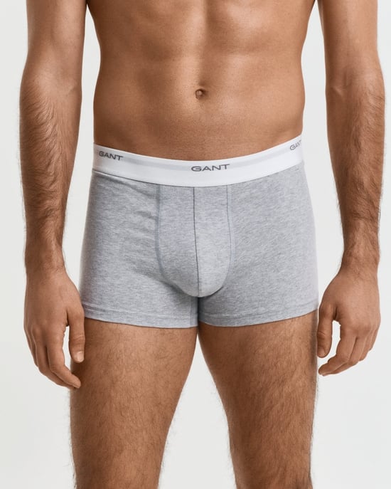 Trunks in Grey (3 Pack) - Image 4