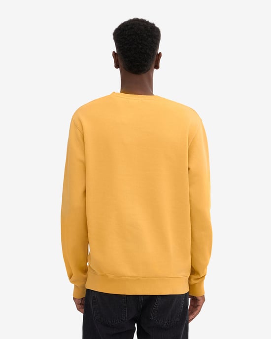Classic Sweatshirt in Orange - Image 3