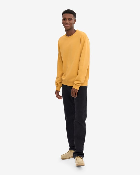 Classic Sweatshirt in Orange - Image 4