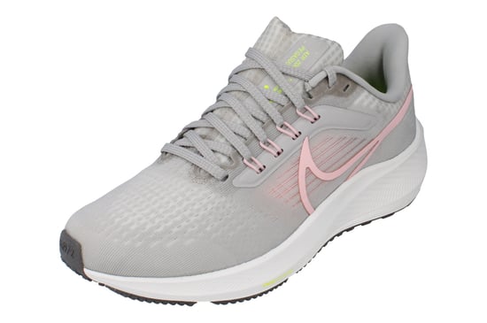 Nike Dames Air Zoom Pegasus 39 Hardloopschoenen - Image 1