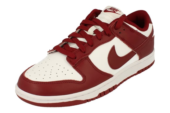 Nike Dunk Low Retro Mens Trainers - Image 1