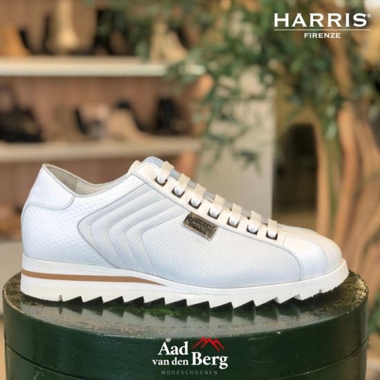 Harris Herenschoenen sneakers - Image 2