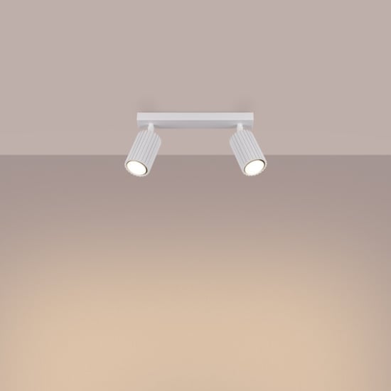 Bright Home Plafondlamp karbon minimalistisch 2 lichtpunten - Image 2
