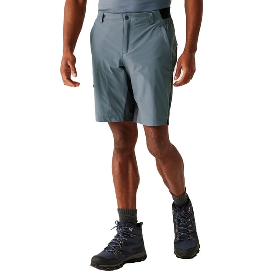 Regatta Mens Eldes Walking Shorts (Stormy Weather/Ash) - Image 4