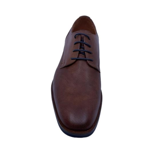 Van Lier 2518660 - Image 2