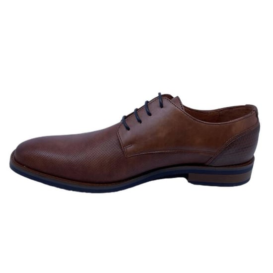 Van Lier 2518660 - Image 3