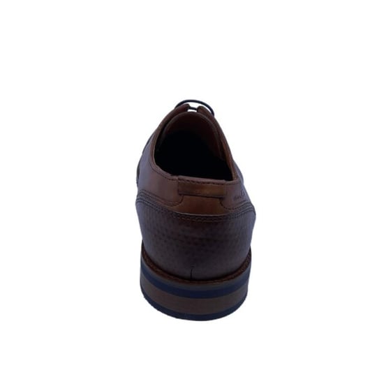 Van Lier 2518660 - Image 4